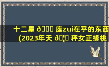 十二星 💐 座zui
在乎的东西(2023年天 🦆 秤女正缘桃花在几月)